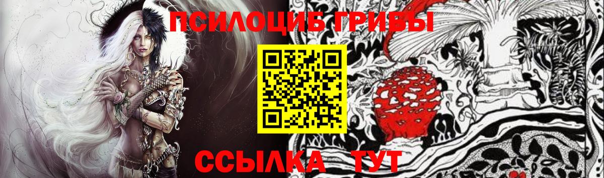 Галлюциногенные грибы Cubensis  Галлюциногенные грибы Cubensis  Бугуруслан  Вход с VPN 