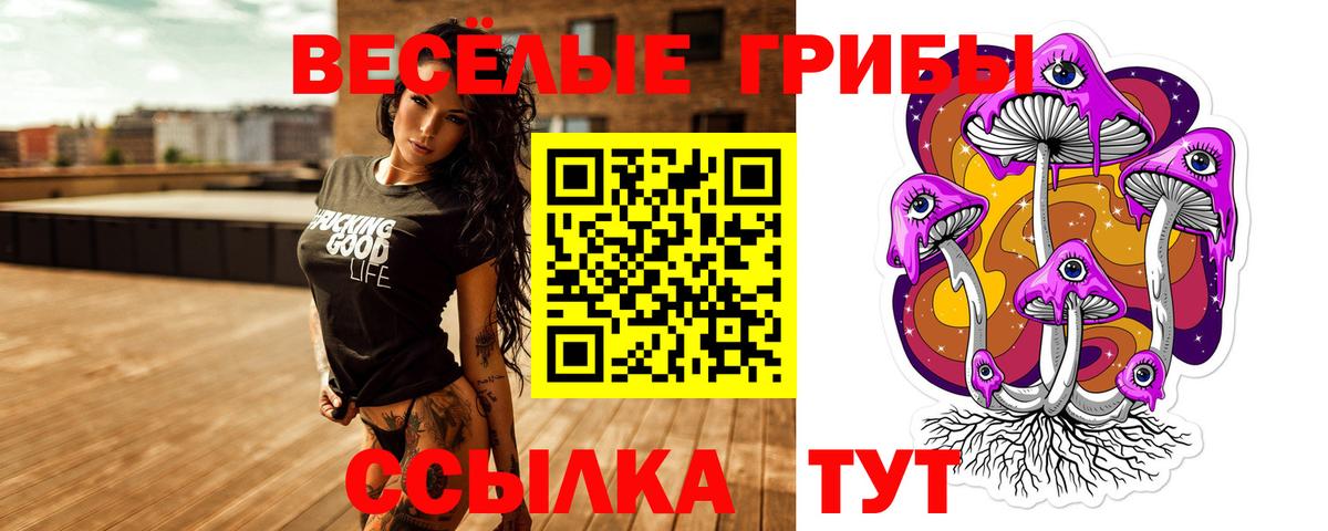 Псилоцибиновые грибы мицелий Бугуруслан